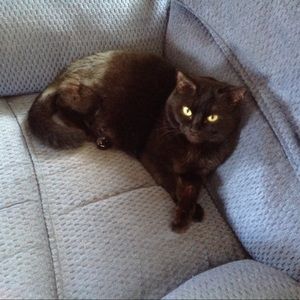 Meet your Posher, Heather